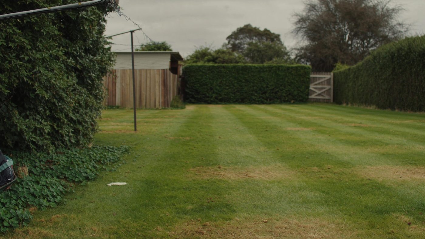 Mowing stripes running the length of a back lawn towards a clipped hedge