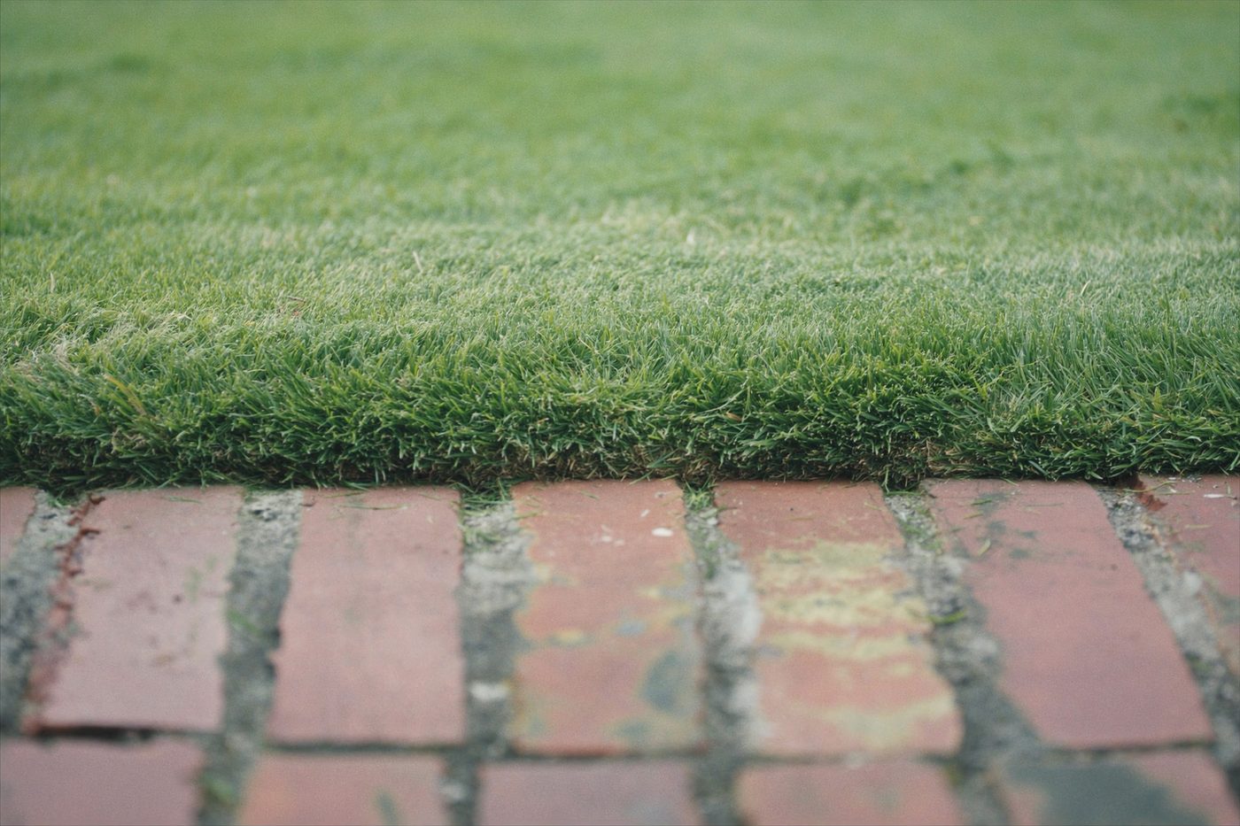 The cut line where mown grass meets a weathered brick path
