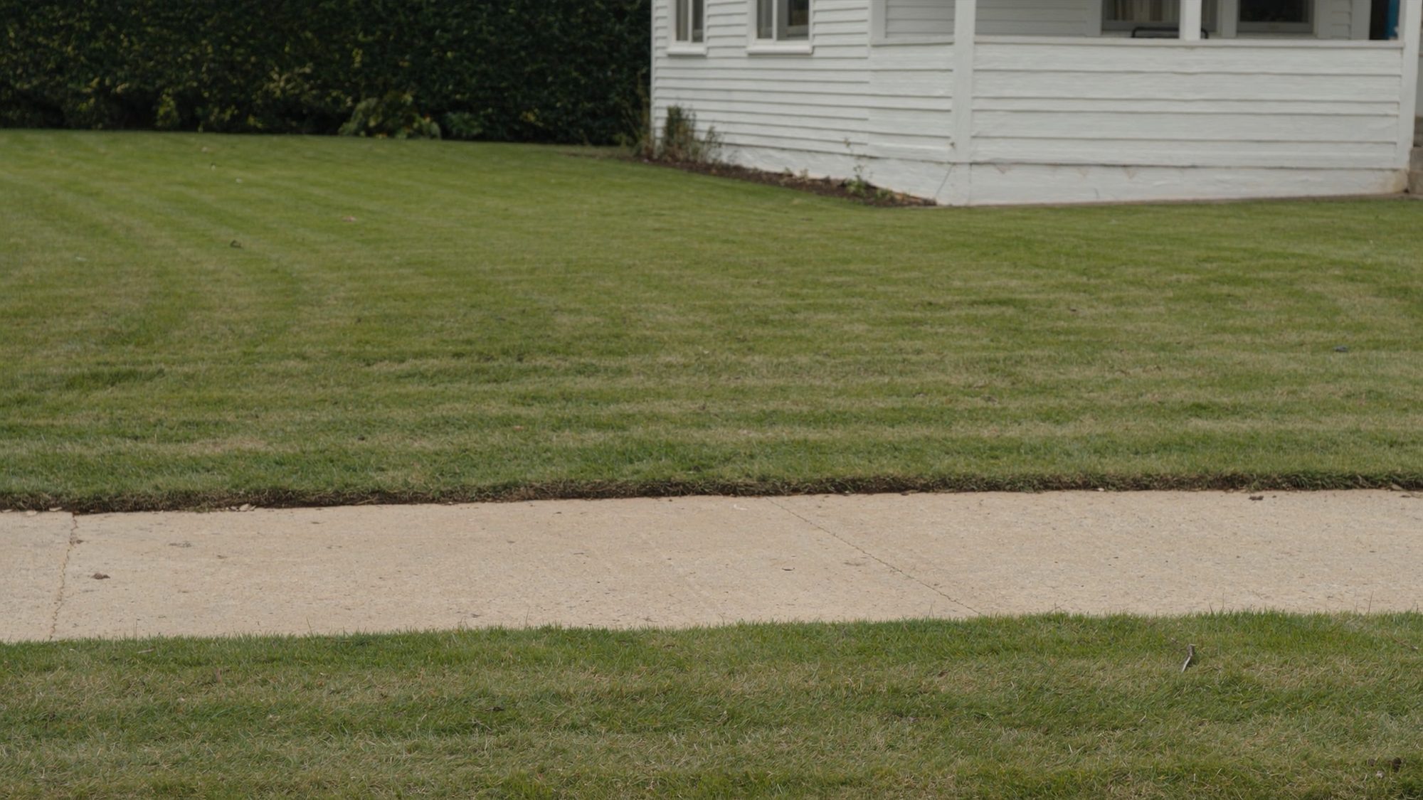A freshly mown lawn meeting a concrete path in a clean line